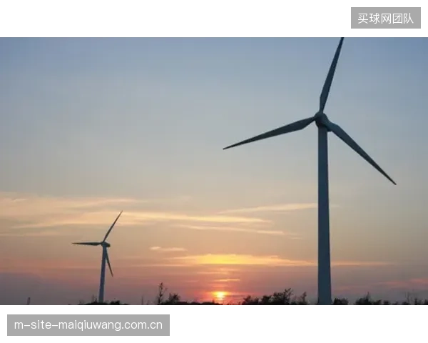体育碳资产概念被过度炒作，其内在价值的形成逻辑并未在行业内达成共识